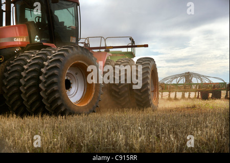 Harvesting wheat, Western Australia Stock Photo