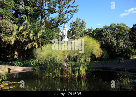 Company or Company's Gardens is a large public park and botanical garden set in the heart of Cape Town home to a rose garden Stock Photo