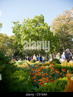 Washington Square park is a popular tourist and visitor spot surrounded by New York University buildings. There are planted Stock Photo