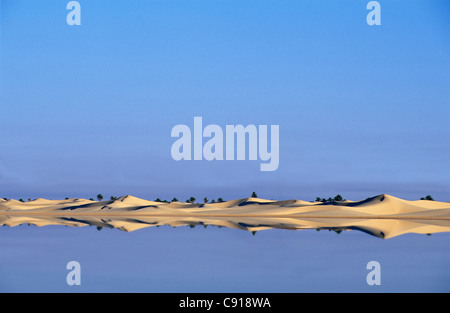 'Algeria, Near Ouargla,  in the Eastern  Sandsea. (Grand Erg Oriental). Sahara desert. Salt lake. Sand dunes. Stock Photo