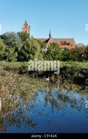 Cathedral, Guestrow, Mecklenburg-Western Pomerania, Germany Stock Photo