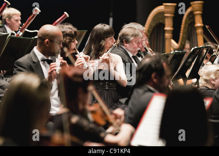 Winds section in orchestra Stock Photo