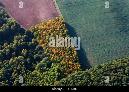 Aerial photo of diverse land useage, agricultural forest and fields, Lower Saxony, Germany Stock Photo