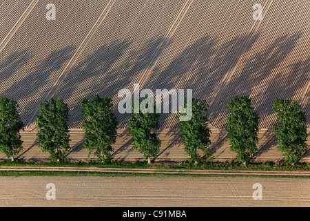 Aerial view of farm track parallel to trees, ploughmans furrows, patterns in the field, Lower Saxony, Germany Stock Photo