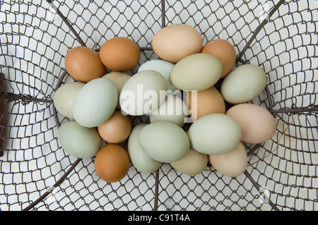 Close up of eggs in basket Stock Photo