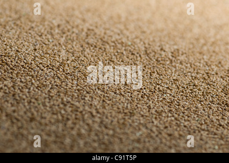 Close up of wheat grains Stock Photo