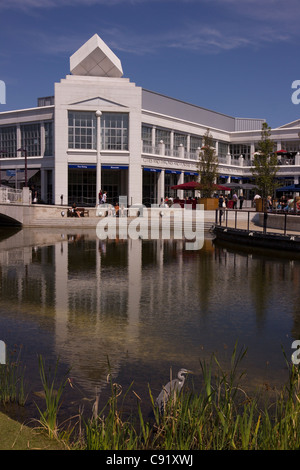 Heron fishing in Lake by outdoor food plaza and modern architecture at Bluewater shopping centre, Greenhithe, Kent, England, UK Stock Photo