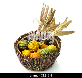 Decorative Squash And Colorful Corn In A Wooden Basket Stock Photo