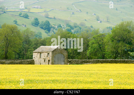 Areas of the Yorkshire Dales, particularly Swaledale, have well-preserved traditional stone-built field walls, houses and barns. Stock Photo
