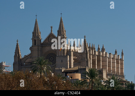 La Seu cathedral. Palma is a major city and port on Majorca. Le Seu Cathedral was founded in 1229 but construction was only