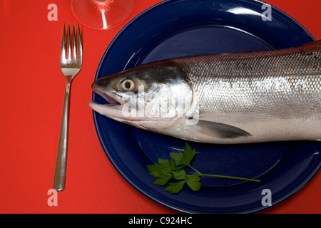 Fresh, wild Alaskan sockeye (red) salmon shown on a dinner plate with fork. Stock Photo