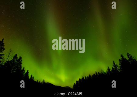 Green northern lights over Tongass National Forest, near Juneau, Southeast Alaska, Winter Stock Photo