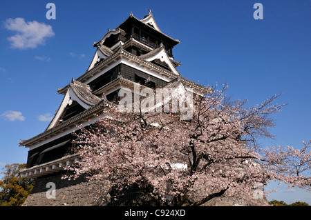 Kumamoto Castle is a 17th century Donjon Pagoda style castle. It is a large extremely well fortified hilltop castle. It is from Stock Photo