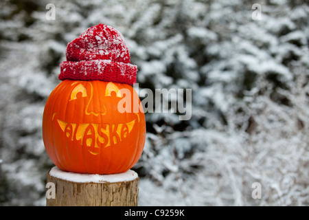 Close up of a carved pumpkin with the word Alaska carved as teeth in a snowy scene and wearing a knit stocking cap, Alaska Stock Photo