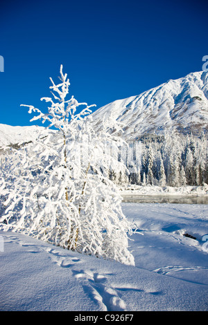 Snow covered landscape along the East Fork of the Six Mile Creek on the Kenai Peninsula in the Chugach National Forest, Alaska Stock Photo