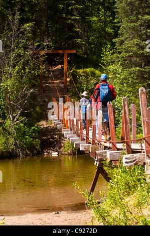 A father and son hiking across a suspension bridge that crosses Byers Creek on the Byers Lake Trail in Denali State Park, Alaska Stock Photo