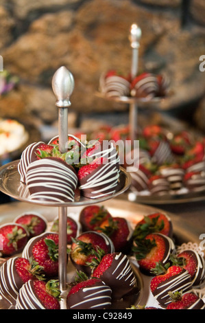 Chocoloate covered strawberries at a business conference reception, Girdwood, Southcentral Alaska Stock Photo