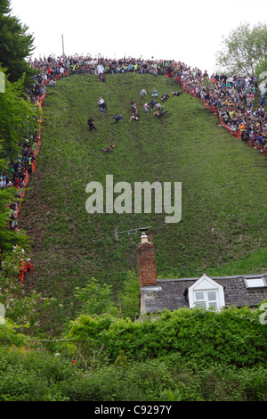The quirky annual Cooper's Hill Cheese rolling held Whitsun bank holiday Monday, in Brockworth, Gloucestershire, England Stock Photo