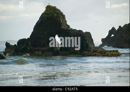 Chile, Chiloe, rock formations in the sea at Punihuil, near Ancud Stock Photo