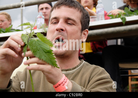 The quirky annual World Stinging Nettle Eating Championship, held at the Bottle Inn pub, in Marshwood, Dorset, England Stock Photo