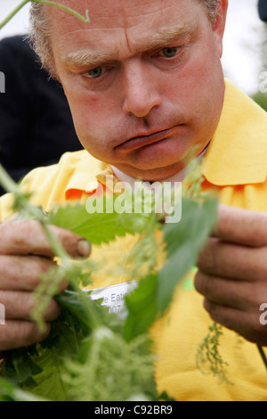 The quirky annual World Stinging Nettle Eating Championship, held at the Bottle Inn pub, in Marshwood, Dorset, England Stock Photo