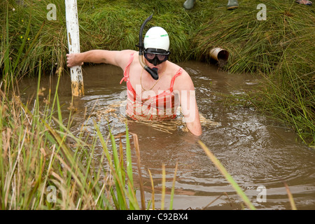 The quirky annual World Bog Snorkelling Championships held at a peat bog on the outskirts of Llanwrtyd Wells, Powys, Wales Stock Photo