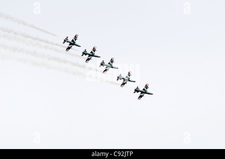 Flying Display by Il Frecce Tricolori. Aemacchi MB339A of Italian Air Force Aerobatic Team from Rivolto at Royal International Stock Photo