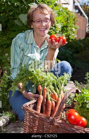 Senior happy woman picking tomatoes Stock Photo - Alamy