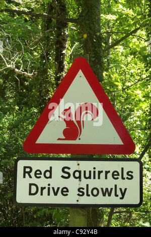 Signs in the Lake District warning of rare Red Squirrels Stock Photo