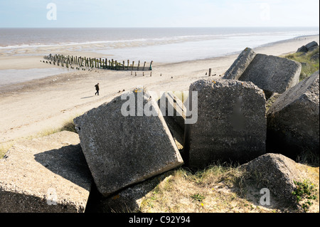 Sea storm coastal erosion at Spurn Head, Yorkshire east coast England. Concrete block and timber beach groyne shore defences Stock Photo