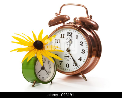 Two alarm clocks with sunflower on white Stock Photo