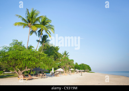 Coconut trees on Lombok resort beach Stock Photo