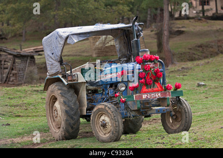 A tractor decorated with red rhododendron flowers on a farm in the fertile Phobjikha Valley. Stock Photo