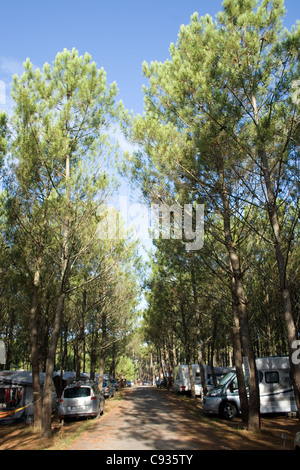 Camping amongst the pine trees - a campground in the Landes Forest, a stones throw from the Atlantic Ocean Stock Photo