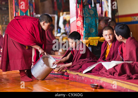 India, Ladakh, Thiksey. Young novice monks having a tsampa breakfast at morning prayers or puja, at Thiksey Monastery. Stock Photo