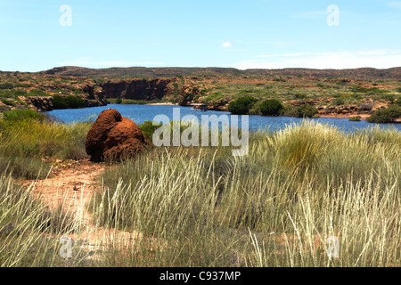 Red Termite Nest, Yardie Creek, Cape Range National Park, Exmouth Western Australia Stock Photo