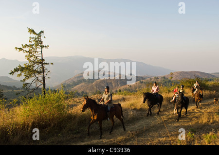 Malawi, Zomba Plateau.  A horse riding safari is a popular way to explore Zomba Plateau. Stock Photo
