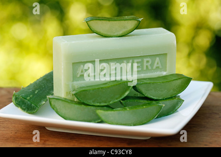 Burn plant soap, Aloe vera. Stock Photo