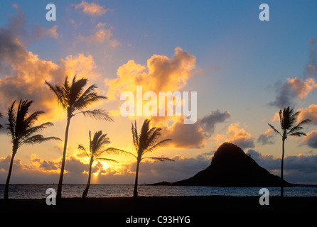 Sunrise and Mokoli'i Island (previously known as the outdated term 'Chinaman's Hat'), with coconut palm trees; Kualoa County Beach Park, Windward Oahu, Hawaii. Stock Photo