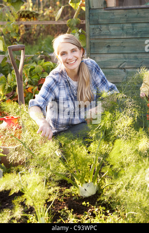 Woman working on allotment Stock Photo