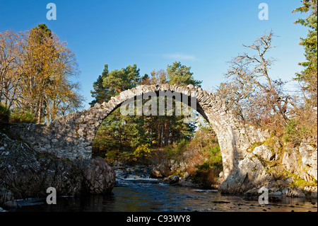 The old now disused Packhorse Bridge over the River Dulnain at Carrbridge, Strathspey, Inverness-shire  SCO 7719 Stock Photo
