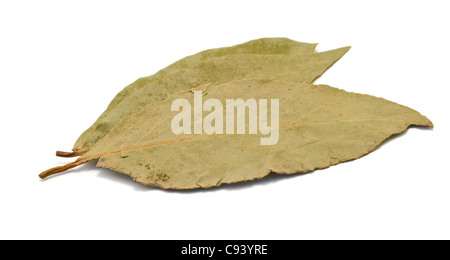 dry bay leaves isolated on white. Stock Photo