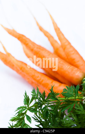 Carrot, Daucus Carota var. sativus Stock Photo