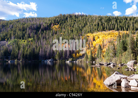 Glowing yellow leaves of aspen trees reflecting in water of Bear Lake in Rocky Mountain National Park in Colorado Stock Photo