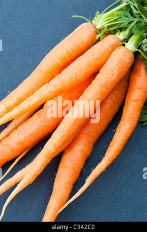 Carrots, Daucus Carota var. sativus Stock Photo