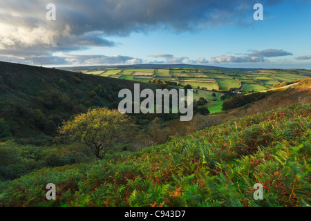 The Punchbowl on Winsford Hill. Exmoor National Park. Somerset. England. UK. Stock Photo