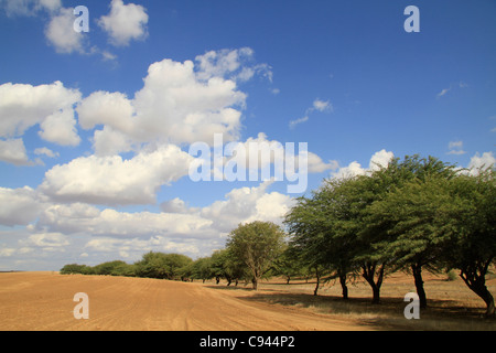 Israel, Nahal Gerar in the Northern Negev Stock Photo