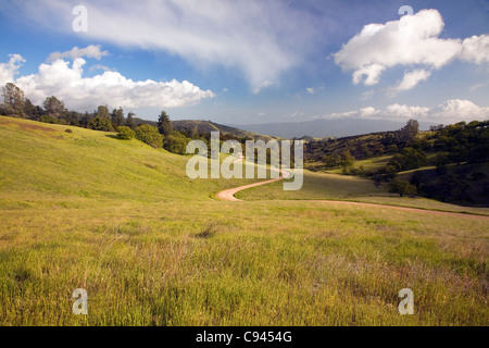 CALIFORNIA - Forest road on Figueroa Mountain in Los Padres National Forest. Stock Photo