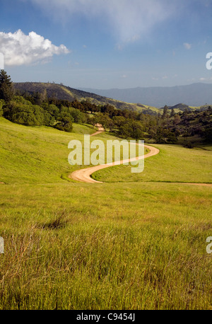 CALIFORNIA - Forest road on Figueroa Mountain in Los Padres National Forest. Stock Photo