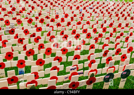 Wooden crosses with poppies in remembrance of servicemen and women killed in action. Stock Photo